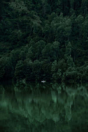 Enigmatic Forest Lake Reflection Wallpaper