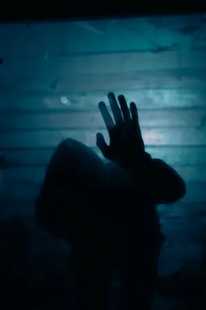 Enigmatic Forest Shrouded In Mist Wallpaper