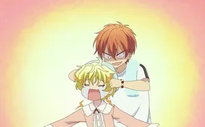 Enigmatic Momiji Sohma, The Zodiac Rabbit Wallpaper