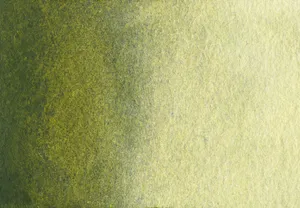 Enigmatic Olive Green Abstract Background Wallpaper