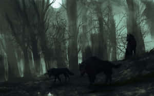 Enigmatic Wolf Roaming Through The Forest Wallpaper