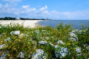 Enjoy A Beach Day In Gulfport, Mississippi Wallpaper