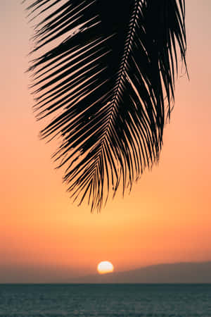 Enjoy A Beautiful Hawaii Sunset Wallpaper