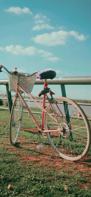 Enjoy A Beautiful On-the-go View Of Your Favorite City While Biking And Taking Pictures On Your Iphone Wallpaper