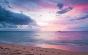 Enjoy A Beautiful Pink Beach Sunset Wallpaper