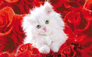 Enjoy A Bouquet Of Beautiful Roses Wallpaper