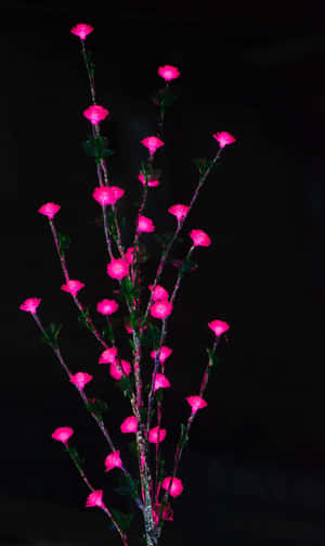 Enjoy A Cool, Whimsical Aquatic World Wallpaper