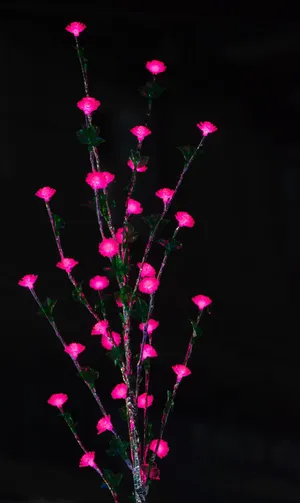 Enjoy A Cool, Whimsical Aquatic World Wallpaper