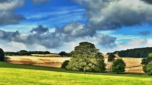 Enjoy A Peaceful Afternoon In The Countryside Wallpaper