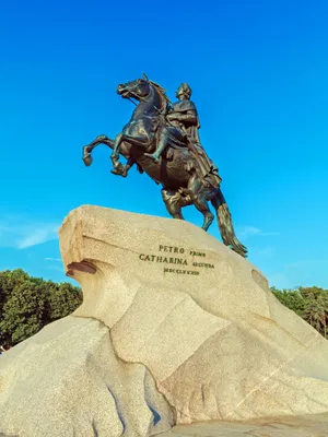 Enjoy A Peaceful Sunny Day Out In Nature. Wallpaper