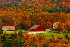 Enjoy A Relaxing Day In The Countryside Wallpaper