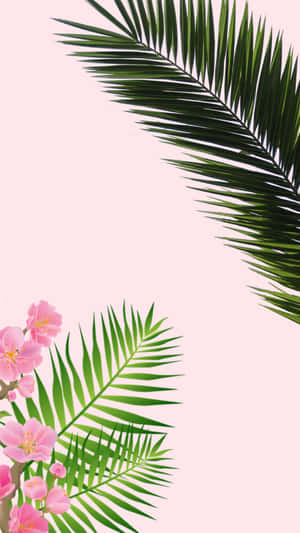 Enjoy A Relaxing Moment By The Beach And Get Inspired By The Tropical Aesthetic. Wallpaper