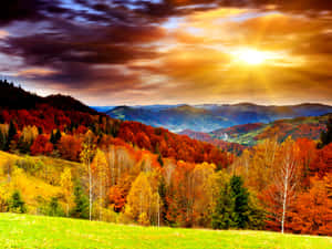 Enjoy A Stunning Landscape Of Vibrant Fall Colors Wallpaper