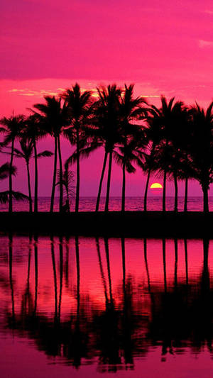 Enjoy A Stunning Pink Sunset With Your Iphone. Wallpaper