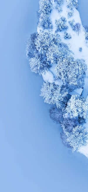 Enjoy A Winter Wonderland With This Beautiful Snowscape Desktop Wallpaper. Wallpaper