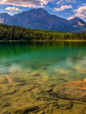 Enjoy Beautiful Nature On Your Ipad Wallpaper