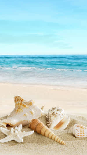 Enjoy Crystal-clear Waters And Golden Sandy Beaches With Your Favorite Iphone. Wallpaper