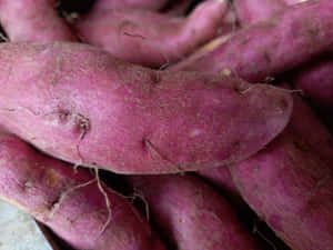 Enjoy Delicious And Nutritious Purple Sweet Potato Wallpaper