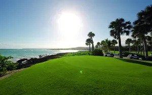 Enjoy Florida's Tropical Climate While Playing Golf At One Of Its Many Courses! Wallpaper