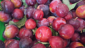 Enjoy Fresh And Juicy Purple Plums Wallpaper