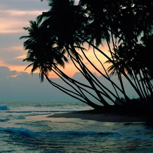 Enjoy Nature In All Its Glory With The Ipad Wallpaper