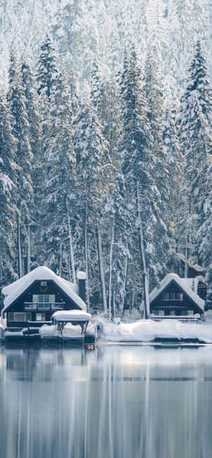 Enjoy Nature's Winter Wonderland With The Snow Iphone Wallpaper