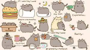 Enjoy Some Quality Time With Pusheen On Your Computer! Wallpaper