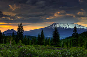 Enjoy Stunning Views Of A California Mountain Wallpaper