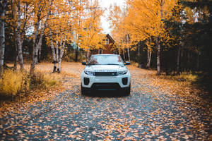 Enjoy The Autumn Drive With Land Rover Wallpaper