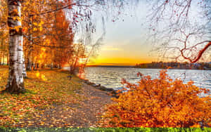 Enjoy The Beautiful Fall Scenery! Wallpaper