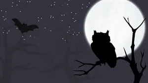 Enjoy The Beautiful Moon Lighting Of The Evening Sky Wallpaper