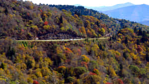 Enjoy The Beautiful Scenery Along The Blue Ridge Parkway Wallpaper