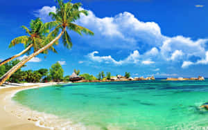 Enjoy The Beautiful Scenery Of A Tropical Beach Wallpaper