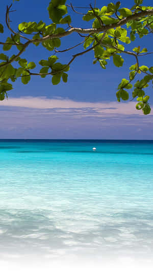 Enjoy The Beautiful View Of The Beach With Your Cute Beach Iphone Wallpaper