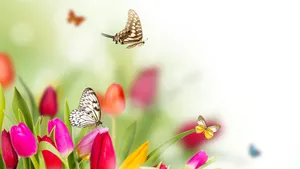 Enjoy The Beauty Of A Butterfly Garden Wallpaper