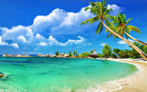 Enjoy The Beauty Of A Tranquil Tropical Beach Scene Wallpaper