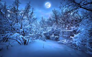 Enjoy The Beauty Of A Winter Wonderland With Snow Desktop Wallpaper