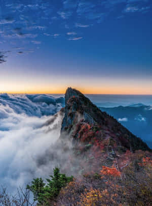 Enjoy The Beauty Of Blue Mountains National Park Wallpaper