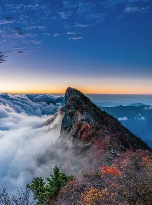 Enjoy The Beauty Of Blue Mountains National Park Wallpaper