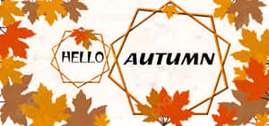 Enjoy The Beauty Of Fall. Wallpaper