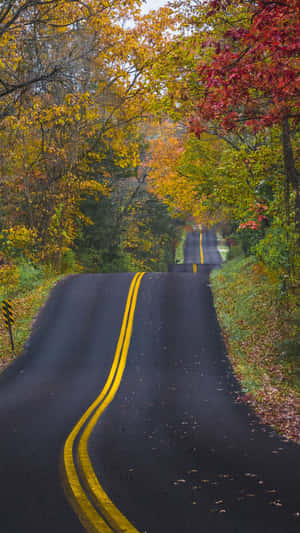 Enjoy The Beauty Of Fall With The Iphone 6 Plus Wallpaper