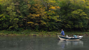 Enjoy The Beauty Of Fly Fishing Wallpaper