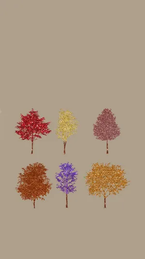 Enjoy The Beauty Of Natural Minimalism This Autumn Wallpaper
