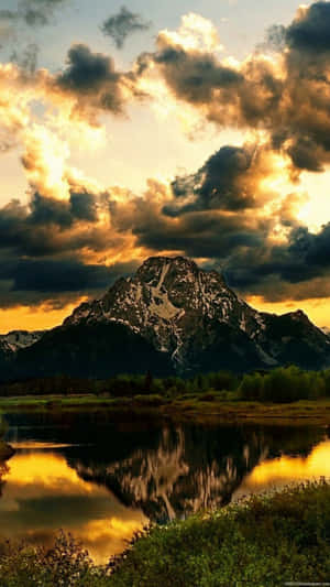 Enjoy The Beauty Of Nature In The Vertical View Wallpaper