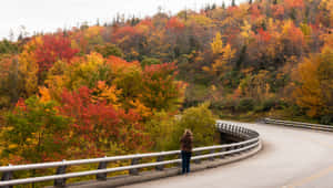 Enjoy The Beauty Of North Carolina's Blue Ridge Parkway Wallpaper