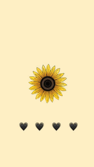 Enjoy The Beauty Of Sunflowers With This Aesthetic Iphone Wallpaper. Wallpaper