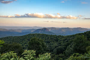 Enjoy The Beauty Of The Blue Ridge Mountains Wallpaper