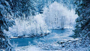 Enjoy The Beauty Of Winter In The Comfort Of Your Home Wallpaper