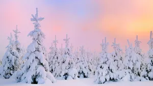 Enjoy The Beauty Of Winter Snow With This Stunning Desktop! Wallpaper