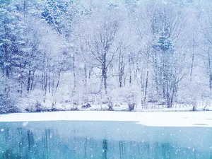 Enjoy The Beauty Of Winter With This Snow-covered Desktop Wallpaper